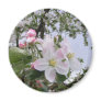 apple-tree blossom fridge magnet