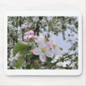 apple-tree blossom mousepads