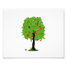 apple tree ecology design.png photograph