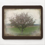 Apple Tree in Bloom Mouse Pads