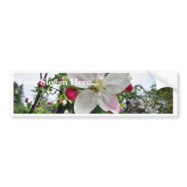Apple Tree In Blossom Bumper Stickers