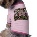 Apple Tree In Blossom pet clothing