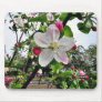Apple Tree In Blossom Mouse Pad