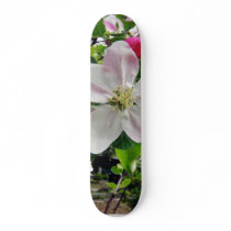 Apple Tree In Blossom Skate Boards