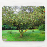 Apple Tree Mousepads