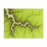 Apple Tree Roots Postcard