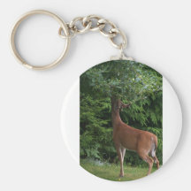Apple with velvet stag key chain