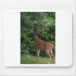 Apple with velvet stag mousepads