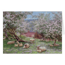 Appleblossom Greeting Cards