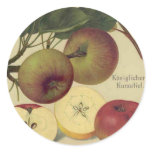 "Apples Botanical" Stickers