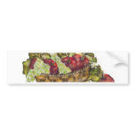 apples bumper sticker