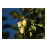 Apples cards
