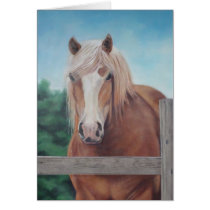 Apples Greeting Cards