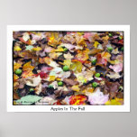 Apples In The Fall Poster