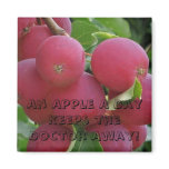 Apples Magnet