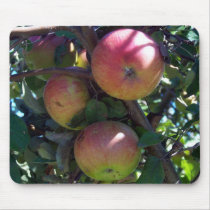 Apples Mouse Pad