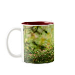Apples mug