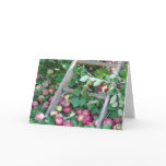 Apples on an Autumn Day cards