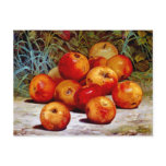 Apples Postcard