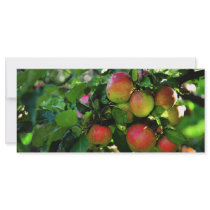 Apples Rack Card Template