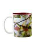 Appletree mug