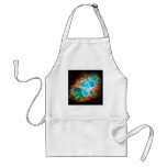 Approaching Crab Nebula aprons