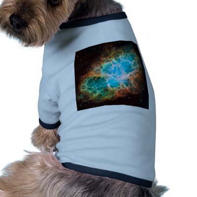 Approaching Crab Nebula Pet Tshirt by williamwilder