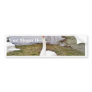 Approaching Curious Big White Swan Bumper Sticker