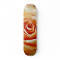 Apricot Coloured Rose Closeup skateboards
