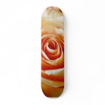 Apricot Coloured Rose Closeup skateboards
