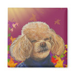 Apricot Laughing Poodle n Fall Leaves Magnets