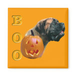 Apricot Mastiff Boo Magnet