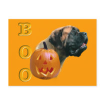 Apricot Mastiff Boo Postcard