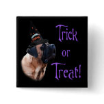 Apricot Mastiff Trick Button