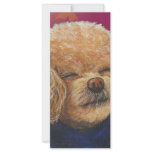 Apricot Poodle Fall Leaves Art Print rack cards