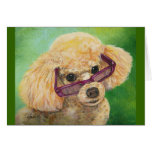 Apricot poodle in shades Art Original Greeting Card