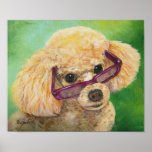 Apricot Poodle in Sunglasses Poster Print