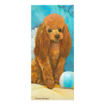 Apricot Red Poodle with Ball Personalised Rack Card