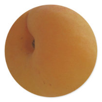 Apricot Sticker