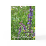 Apricot Tree in Spring cards
