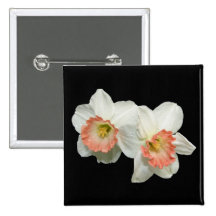 Apricot/White Jonquils/Daffodils Pins
