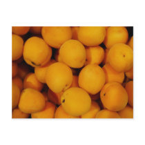 Apricots Post Card