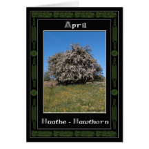 April Birthday Celtic Oracle Divination Cards