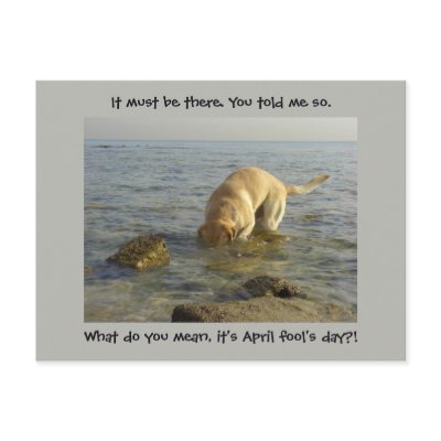 April fool's day - Goofy Labrador by Rainmountain