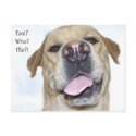April fool's day postcards