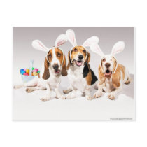 April Post Card