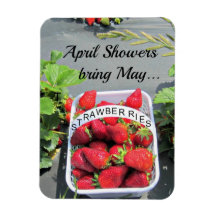 April Showers bring May...STRAWBERRIES! Rectangular Magnet