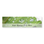 April Showers Bumper Sticker