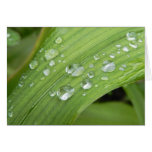 April Showers Card