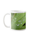 April Showers mugs